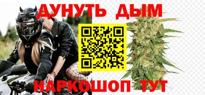 Альфа ПВП Новозыбков